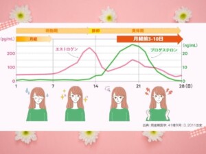 PMS 女性の変化グラフ　エストロゲン　プロゲステロン